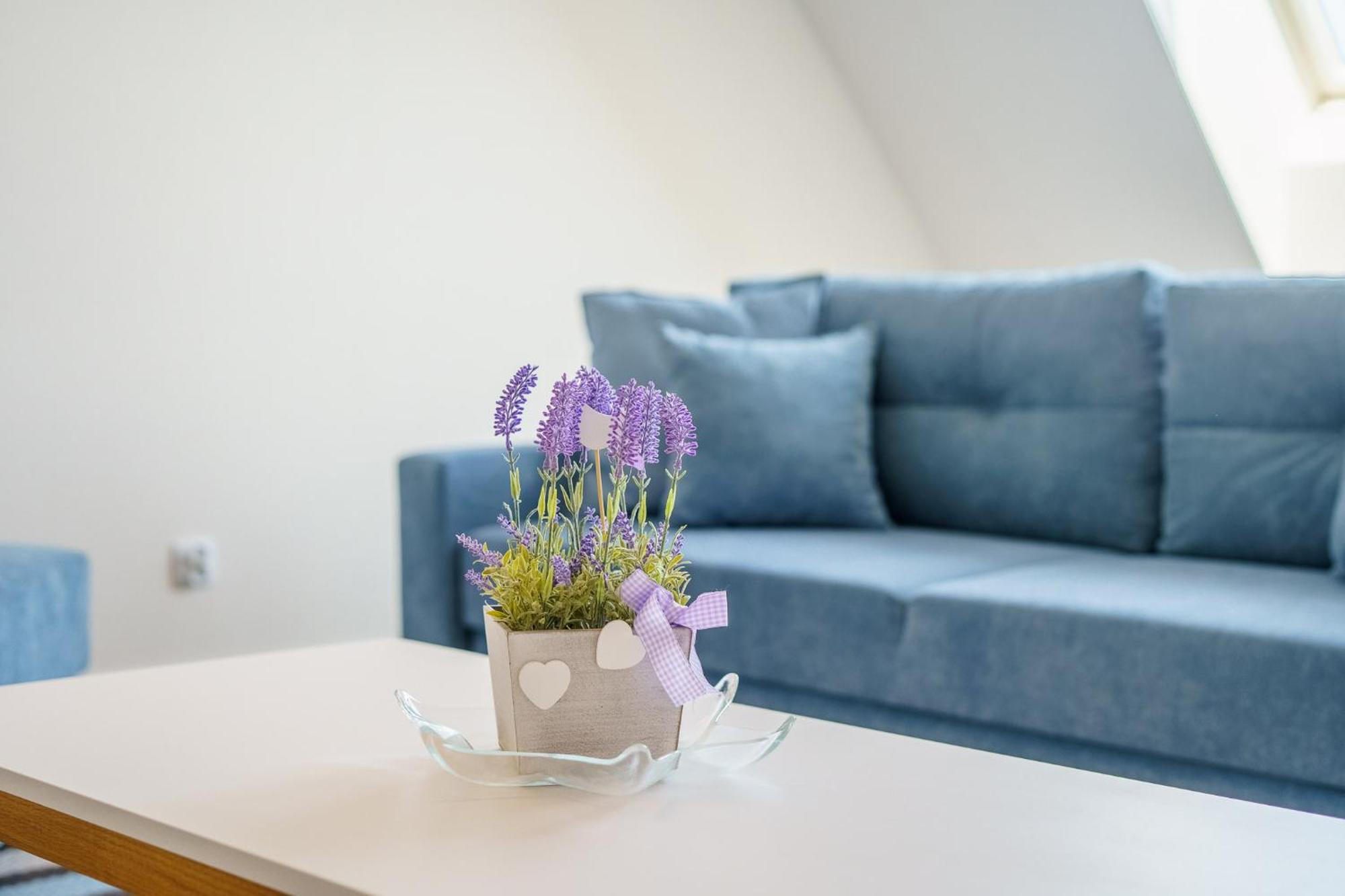 Bel Mare Miedzyzdroje Apartment With Balcony By Noclegi Renters Eksteriør billede